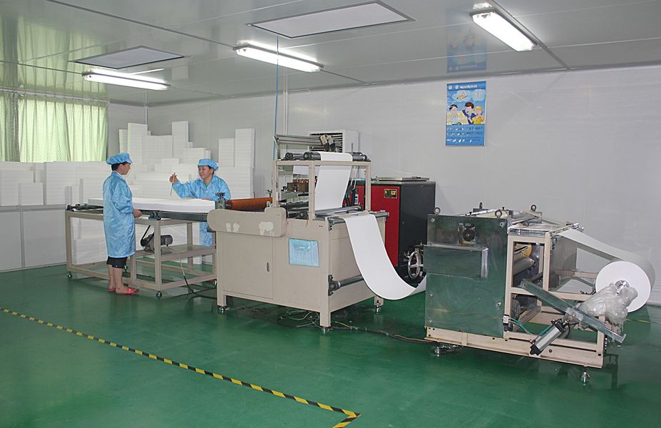 중국 Dongguan Ivy Purification Technology Co., Ltd. 